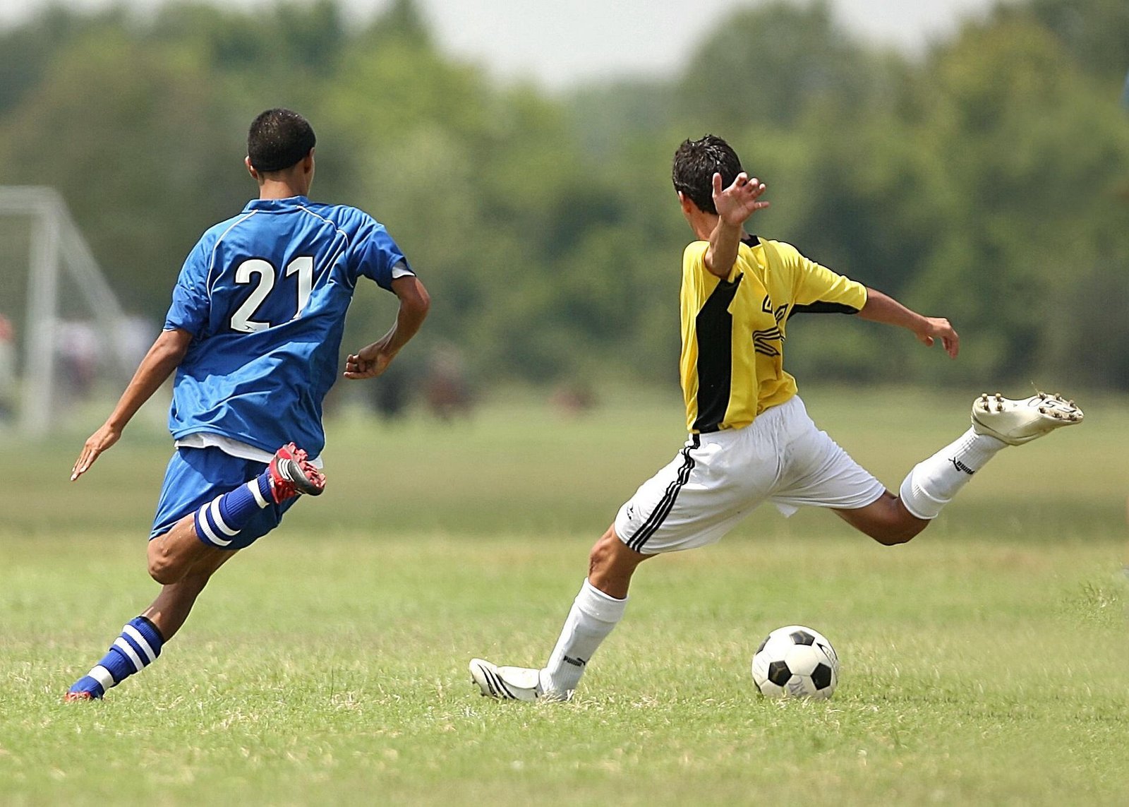 Fútbol